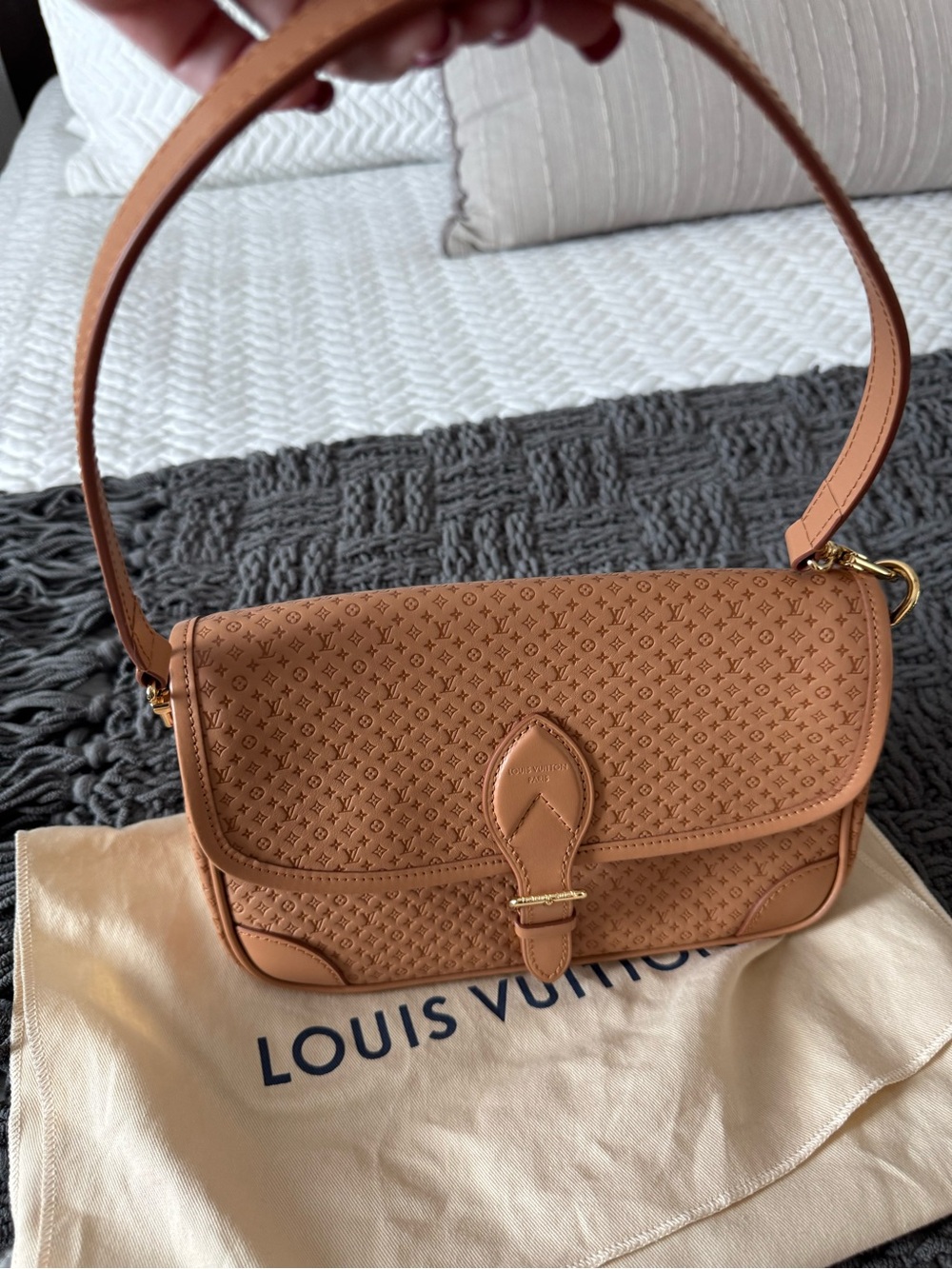 NWT Louis Vuitton Diane Hazelnut Mini Monogram  Leather Shoulder/Crossbody Bag - Picture 10 of 13